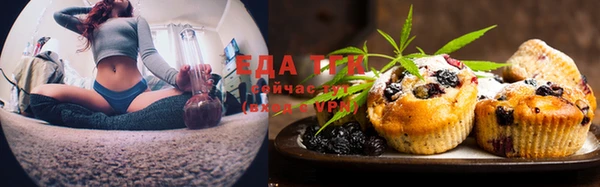 индика Апатиты