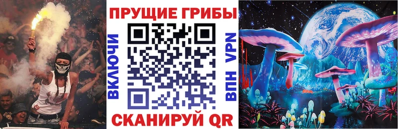 Псилоцибиновые грибы прущие грибы  Купить закладки  Ковылкино 